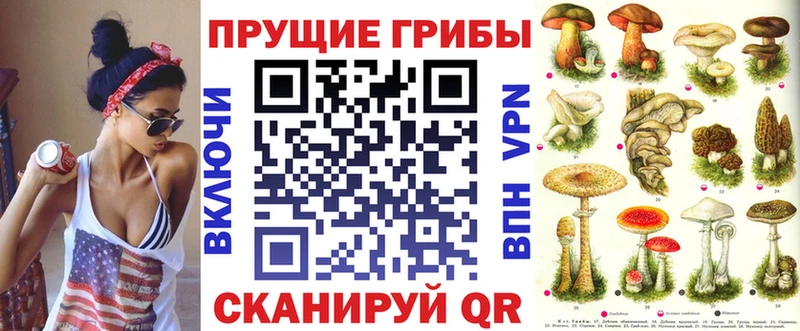 Галлюциногенные грибы Psilocybine cubensis  Духовщина 